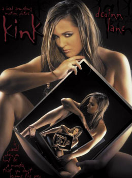 Cover des Erotik Movies Kink