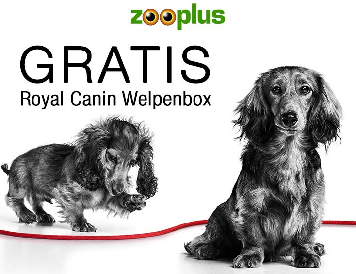 Gratis Royal Canin Welpenbox