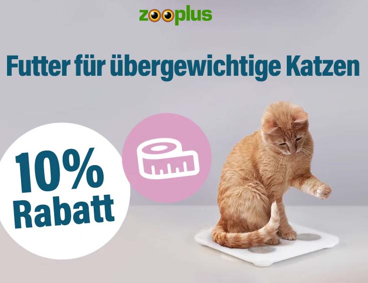 -10% | Futter für übergewichtige Katzen