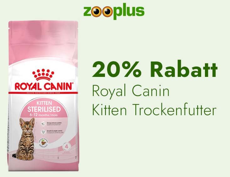 20% Rabatt Royal Canin Kitten Trockenfutter