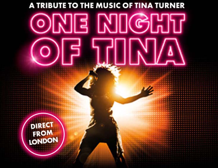 One Night Of Tina Die große Tina Turner Tribute Show Tickets