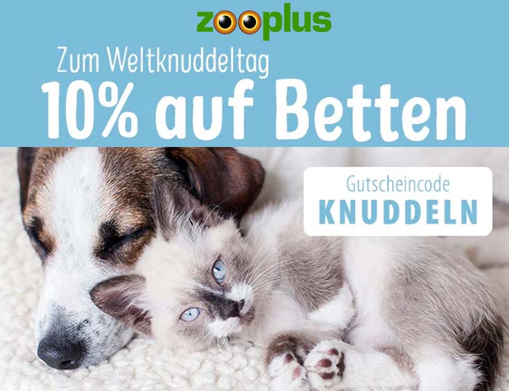 10% Rabatt auf Hunde- und Katzenbetten