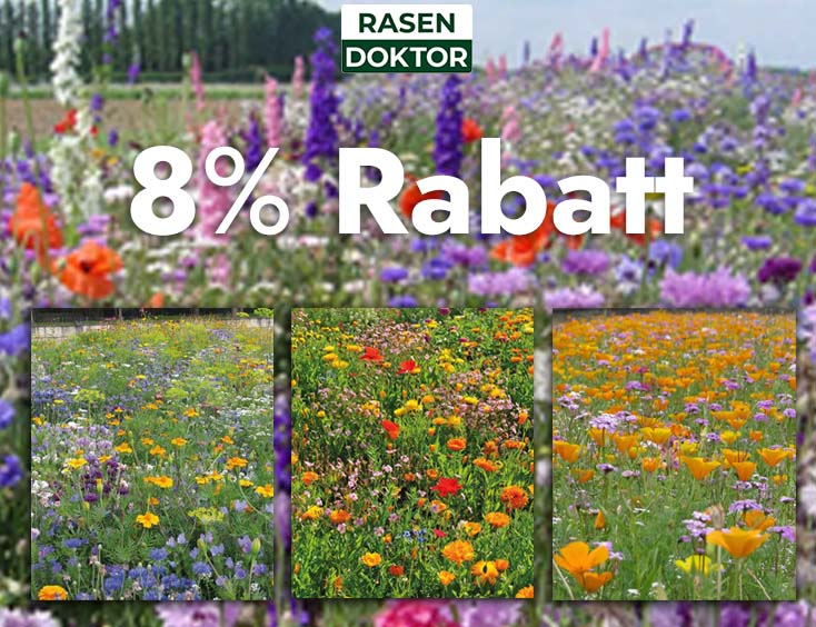 8% Rabatt auf Blumenwiesen Rabattcode