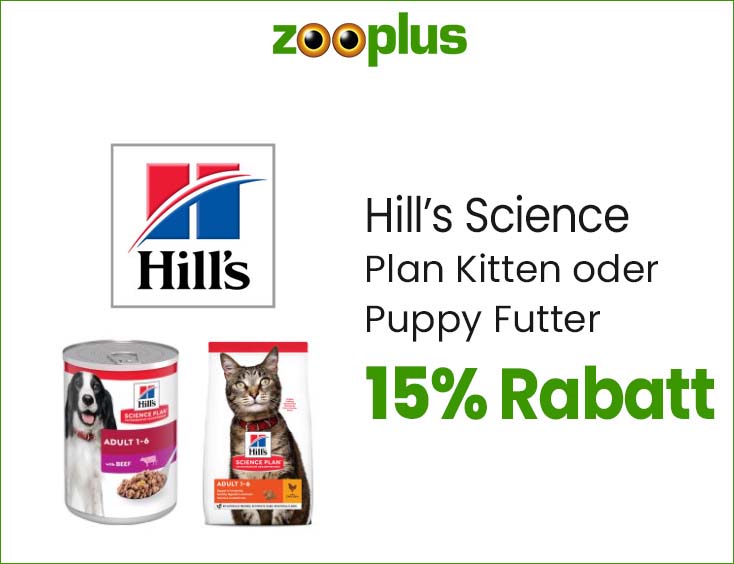 15% Rabatt auf Hill's Science Plan Kitten oder Puppy Futter