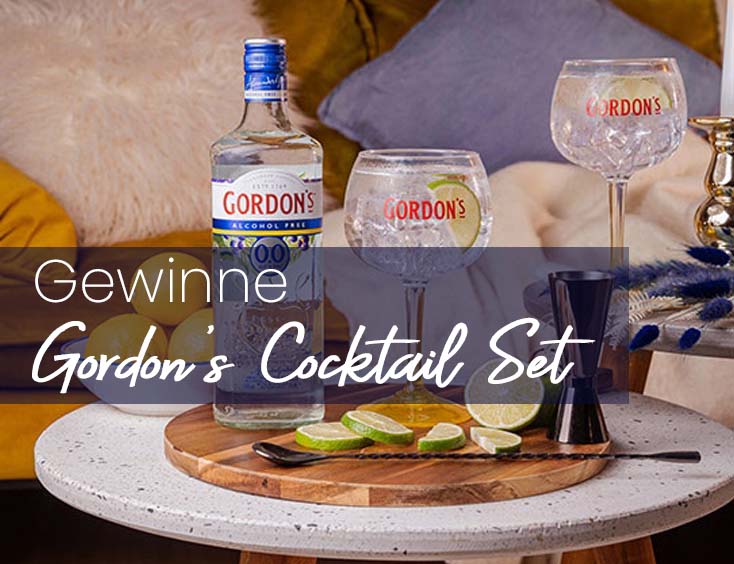 3x ein Gordons Cocktail-Set