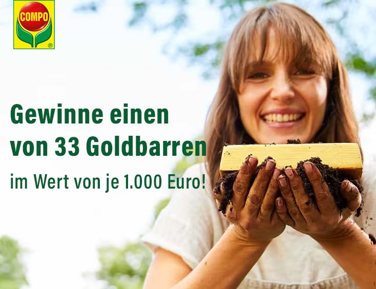 Goldbarren im Wert von 1.000 Euro gewinnen