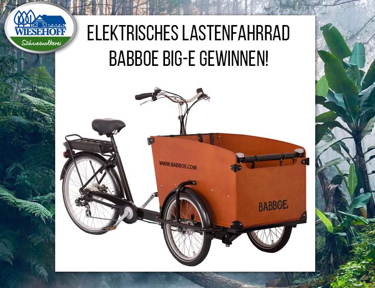 ELEKTRISCHES LASTENFAHRRAD BABBOE BIG-E GEWINNEN