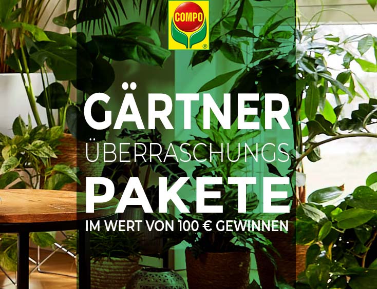Gärtner-Überraschungspakete Wert 100 €