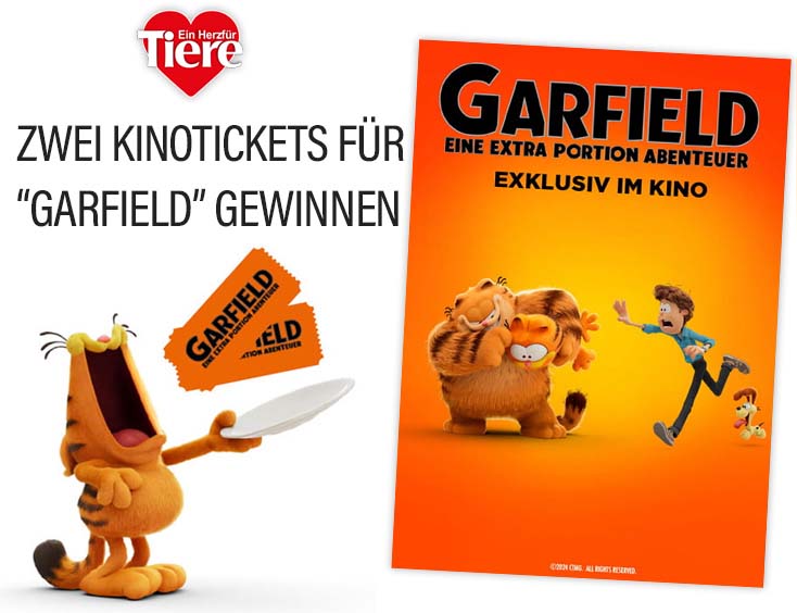 Tickets zum Kinostart von: "Garfield - Eine extra Portion Abenteuer"